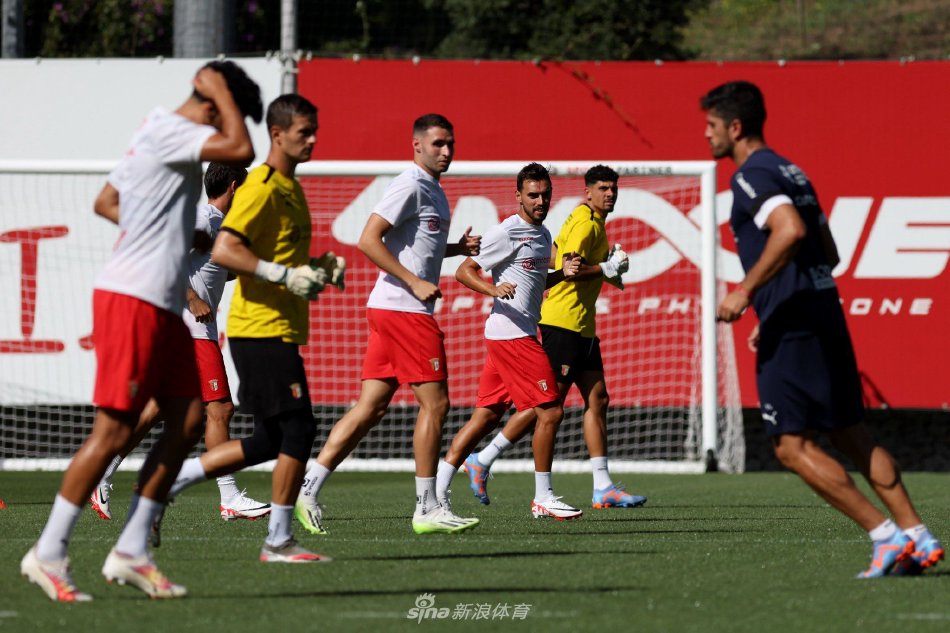 手高度真的 手高度真的